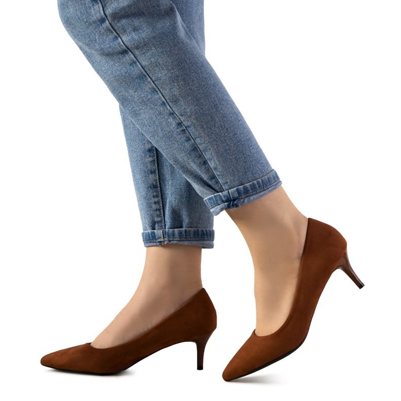 Barna szivattyúk a Campbell alacsony sarkán