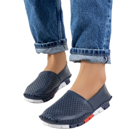 Piron sötétkék naplopók Piron sötétkék naplopók