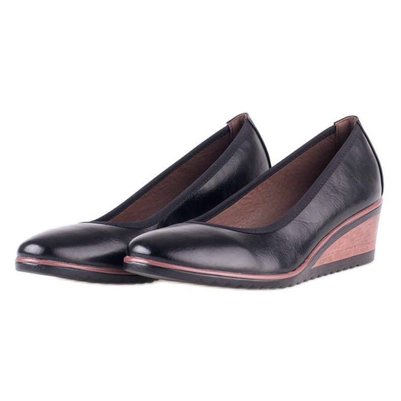 Fekete ékszivattyúk W. Potockitól