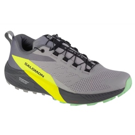 Salomon Sense Ride 5 M 471442 futócipő szürke