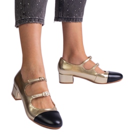 Arany szivattyúk a fekete orron aranysárga Arany szivattyúk a fekete orron aranysárga