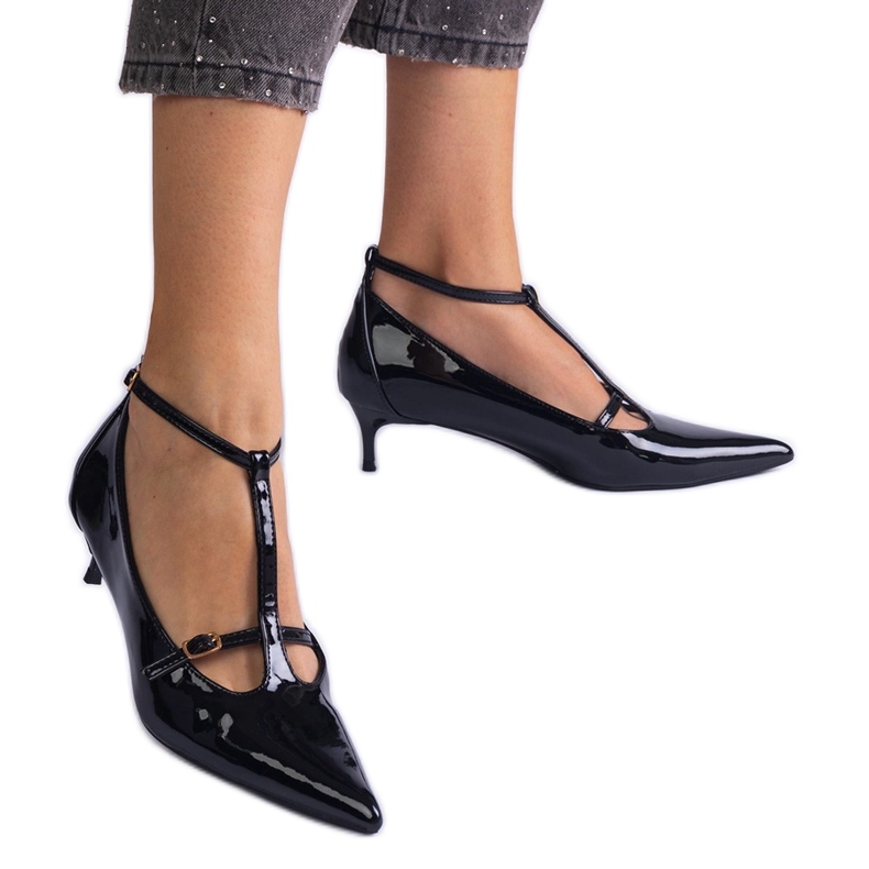 Fekete szivattyúk, amelyek egy alacsony halomon lakkoztak, csatokkal