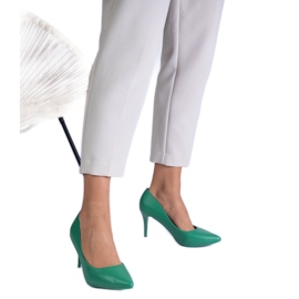 Zöld klasszikus öko -lé szivattyúk