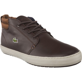 Lacoste Ampthill Terra 317 1 176 barna