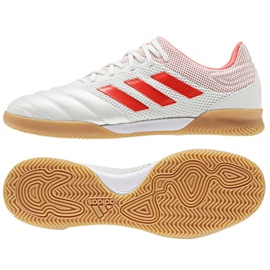 Belső cipő adidas Copa 19.3 IN Sala M D98065 fehér