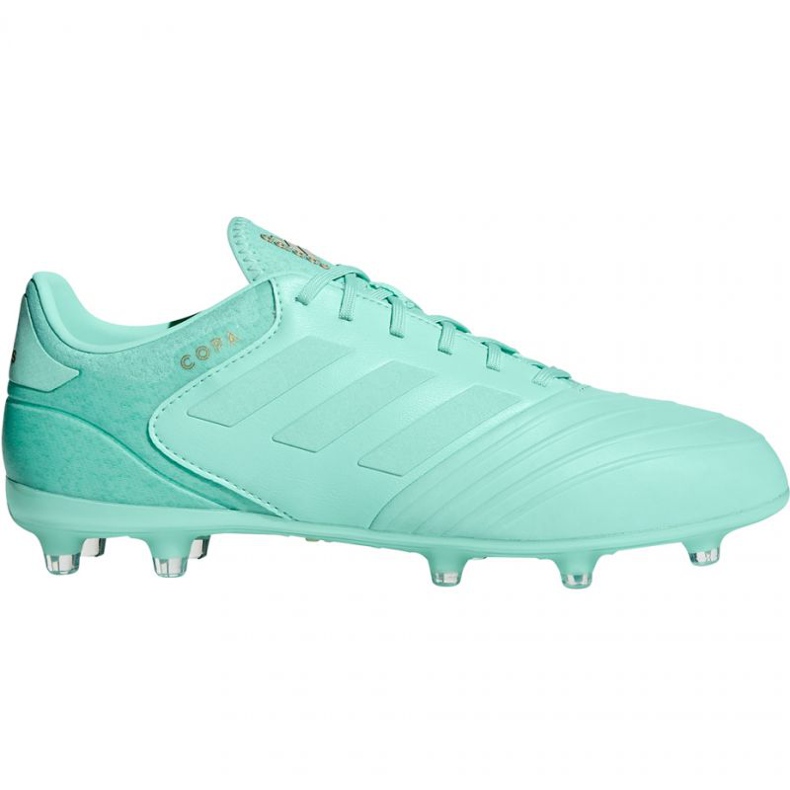 Adidas Copa 18.2 FG M DB2446 futballcipő kék