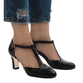 Fekete szivattyúk a 2239-1 oszlopon