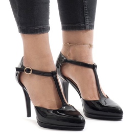 Fekete szivattyúk az A509-22-1 oszlopon