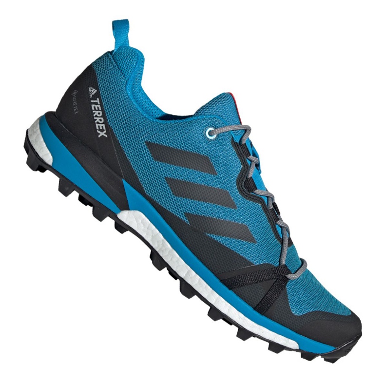 Adidas Terrex Skychaser Lt Gtx M F36107 cipő fekete kék