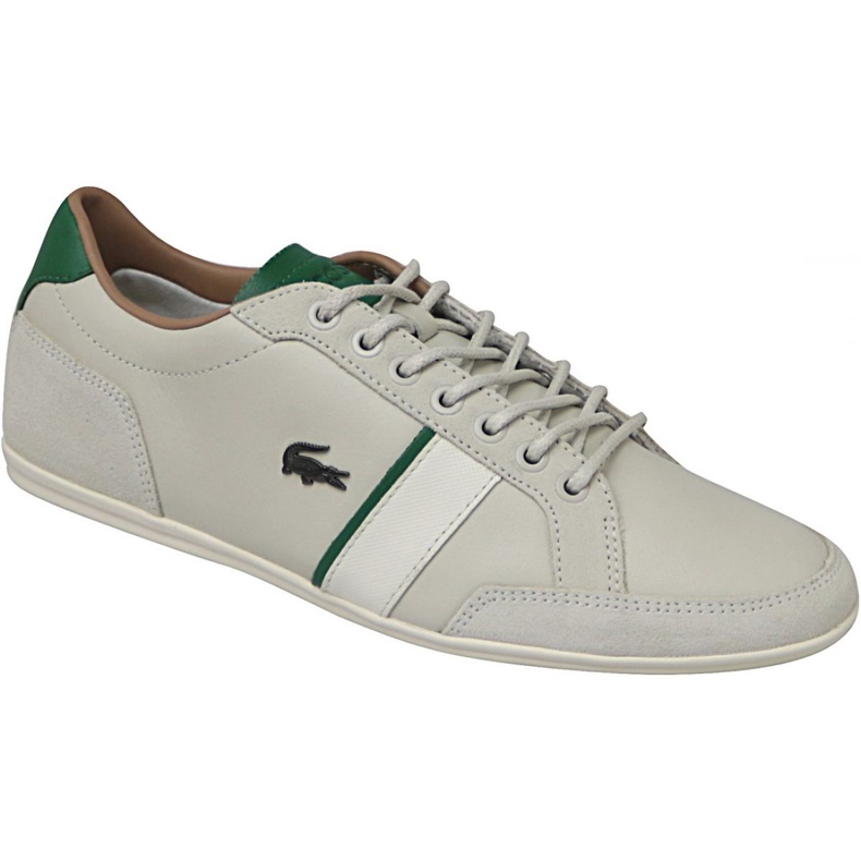 Lacoste Alisos 117 1 M CAM1018098 sokszínű