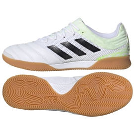 Belső cipő adidas Copa 20.3 In Sala M G28547 sokszínű fehér