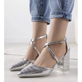 Ezüst szivattyúk Strutt oszlopon 1 Ezüst szivattyúk Strutt oszlopon 1