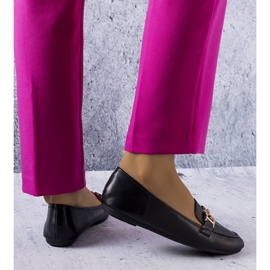 Fekete naplopók a Sauvé-tól 1