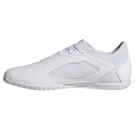 Adidas Predator Accuracy.4 FZ6117 cipőben fehér 1