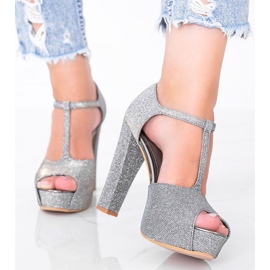 Fényes szürke szivattyúk az Elissa oszlopon 1