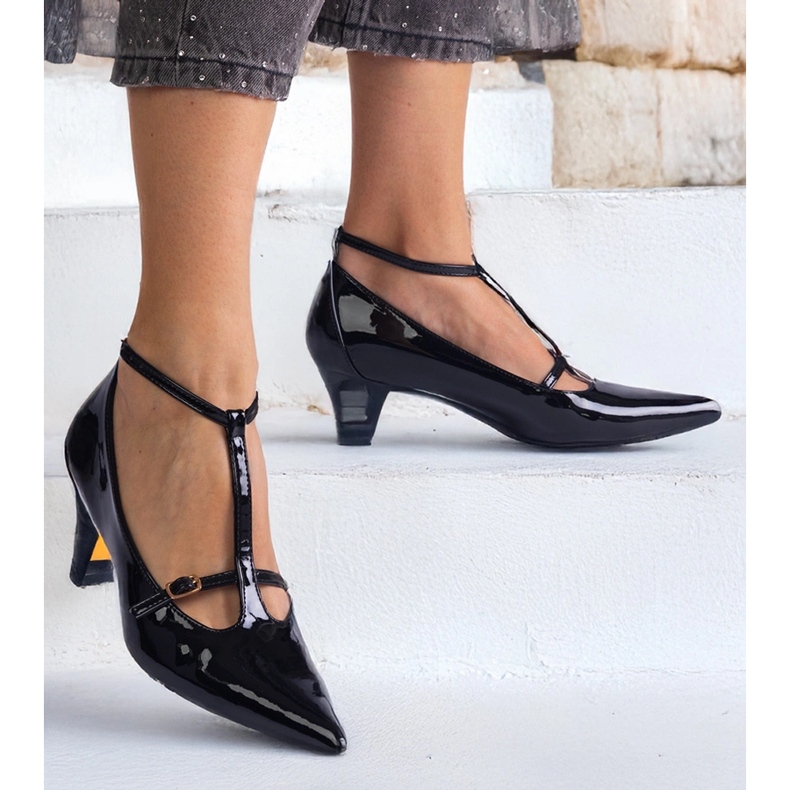 Fekete szivattyúk, amelyek egy alacsony halomon lakkoztak, csatokkal 1