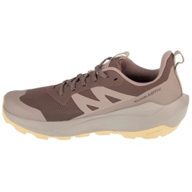 Salomon Elixir Active GTX L47760100 futócipő barna 1