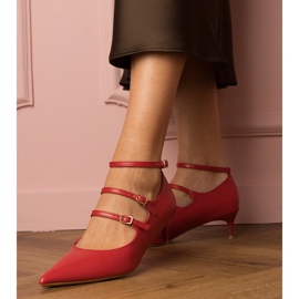 Piros szivattyúk egy alacsony halomon, csatokkal 1