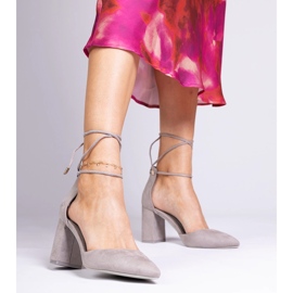 Szürke klasszikus szivattyúk az Ekozamszu -tól 1