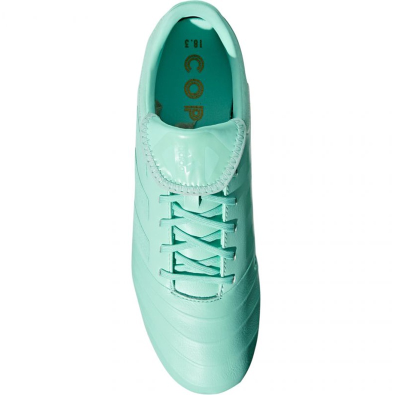 Adidas Copa 18.3 Fg M DB2462 futballcipő kék kék 1