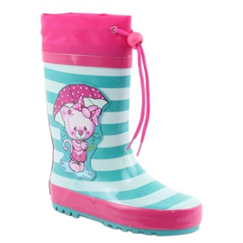 American Club Amerikai kucsik, cica a kiállítás után rózsaszín zöld 1