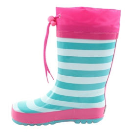 American Club Amerikai kucsik, cica a kiállítás után rózsaszín zöld 2