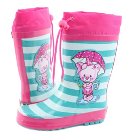 American Club Amerikai kucsik, cica a kiállítás után rózsaszín zöld 4