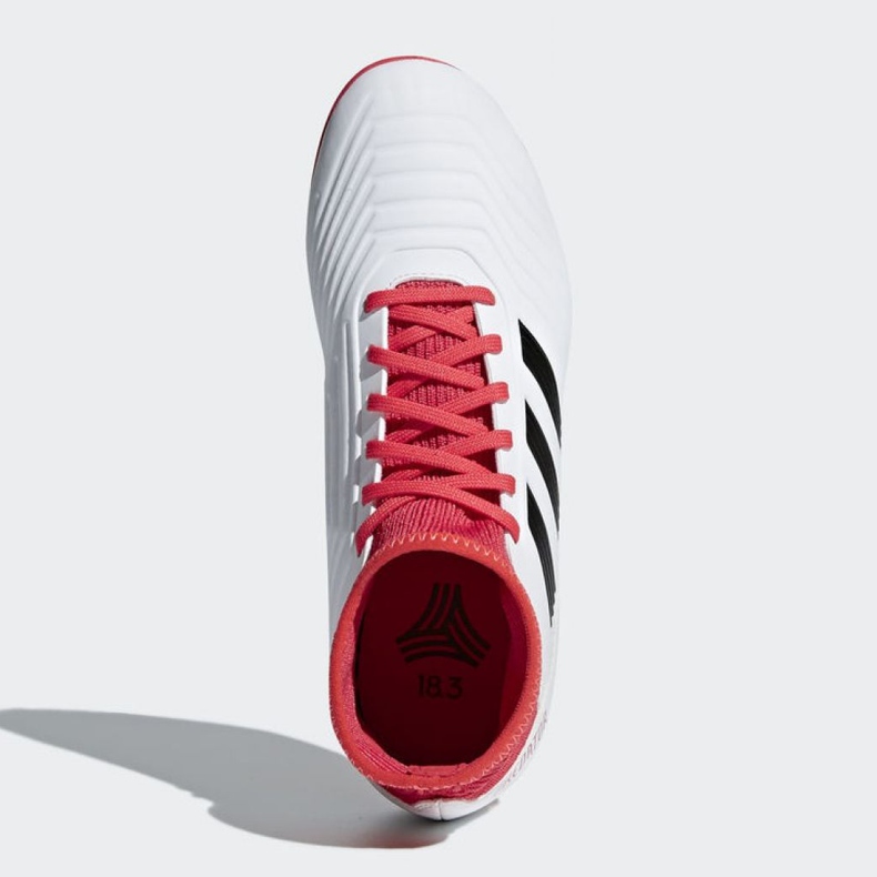 Adidas Predator Tango 18.3 Tf Jr CP9040 futballcipő sokszínű fehér 2 Adidas Predator Tango 18.3 Tf Jr CP9040 futballcipő sokszínű fehér 2
