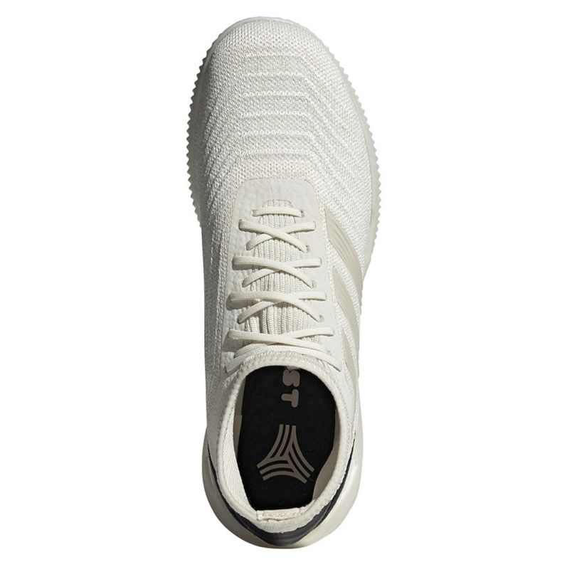 Belső cipő adidas Predator 19.1 Tr M D98056 sokszínű fehér 2