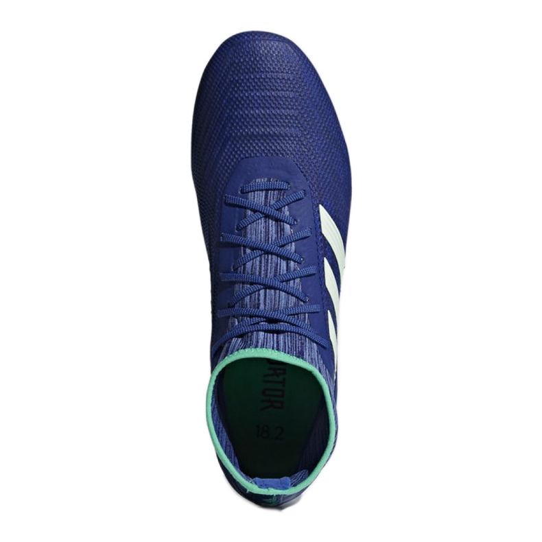 Adidas Predator 18.2 Fg M CP9293 futballcipő sokszínű kék 1