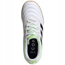 Belső cipő adidas Copa 20.3 In Sala Jr EF1916 sokszínű fehér 1