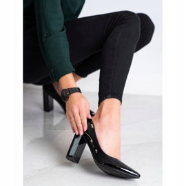 Goodin Szivattyúk egy oszlopon fekete 2