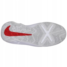 Nike Team Hustle D 10 Big Basketball Shoe Jr CW6735 005 kosárlabda cipő piros, fehér, piros, sötétkék piros 1