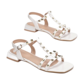 Vices CIC-10-71-fehér satu 1