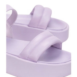 Vices 2257-66-ibolya 1