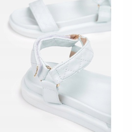 Vices Satuk 1089-94-l.kék 1