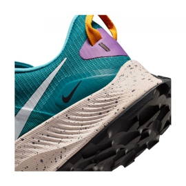 Nike Pegasus Trail 3 M DA8697-300 futócipő kék 1