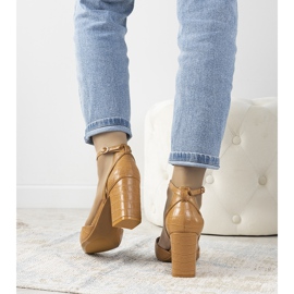 Teves szivattyúk a Davies -oszlopon barna 1