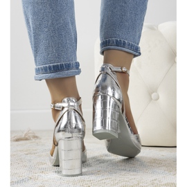 Ezüst szivattyúk a Davies oszlopon 1 Ezüst szivattyúk a Davies oszlopon 1