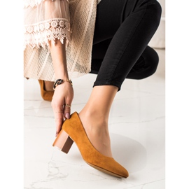 M.Daszyński Teveszivattyúk barna sárga 1