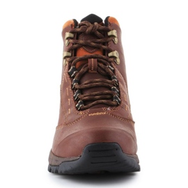 Ariat Berwick Gtx W 10016298 cipő barna 2