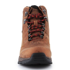 Ariat Berwick Gtx W 10016299 cipő barna 2