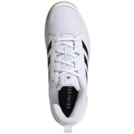 Adidas Ligra 7 M GZ0069 röplabda cipő fehér fehér 2
