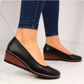 Fekete ékszivattyúk W Vinceza 2