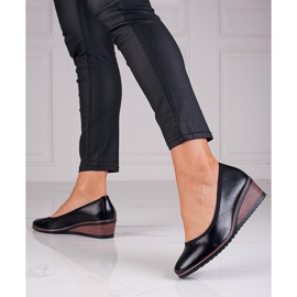 Fekete ékszivattyúk W. Potockitól 1