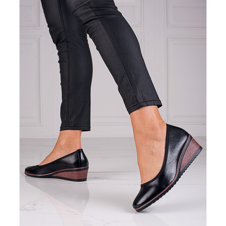 Fekete ékszivattyúk W. Potockitól 1