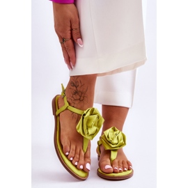 FS1 Női papucsok Rose Carisma Lime szövettel zöld 1